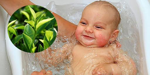 các loại lá tắm cho trẻ sơ sinh