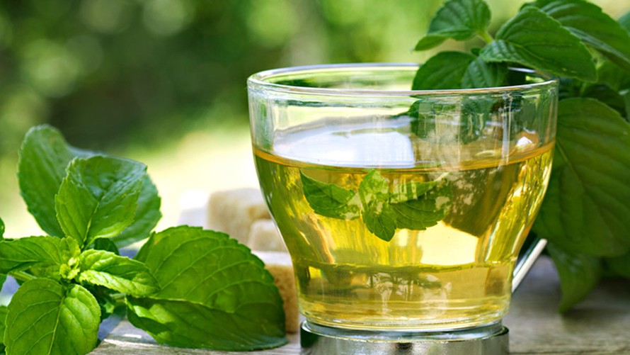 Trà bạc hà điều trị viêm họng