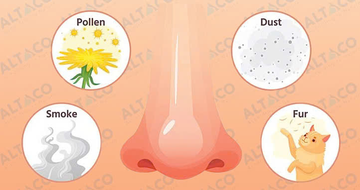 Nguyên nhân dẫn đến bệnh viêm mũi dị ứng