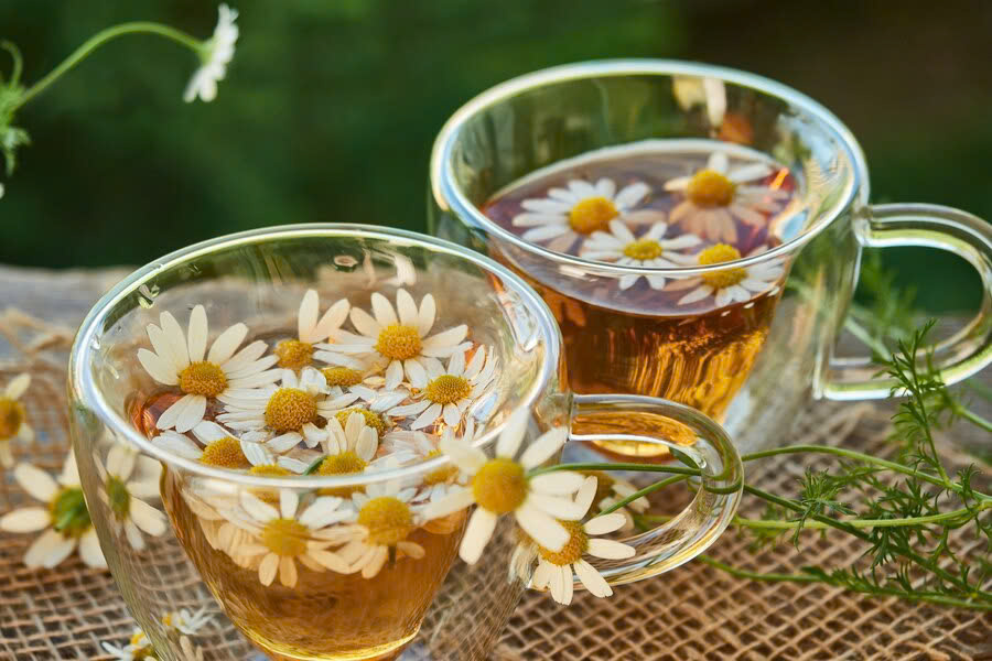Một số cách điều trị viêm xoang tại nhà