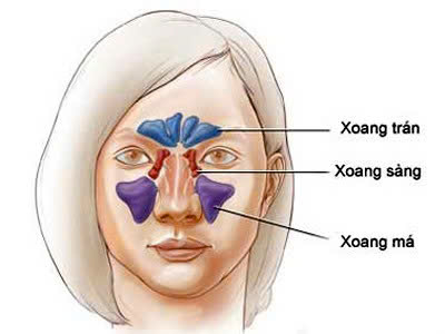Viêm xoang sàng nguy hiểm đến mức nào và cách điều trị ra sao?