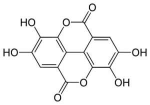 Polyphenol
