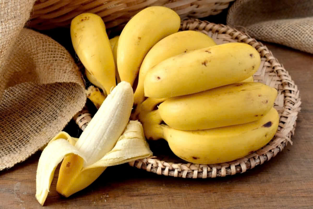 Top 15 thực phẩm lợi sữa giúp mẹ dồi dào sữa cho bé