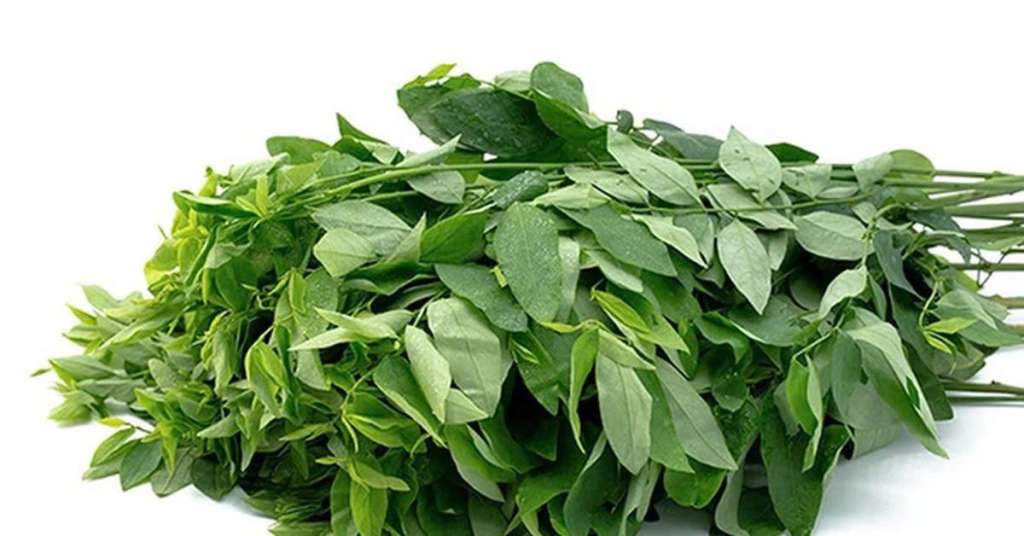 Rau ngót – Lợi sữa, giúp đẩy sản dịch