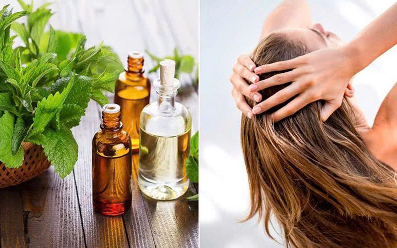 Tinh dầu tràm trà có tác dụng như thế nào đối với mái tóc?