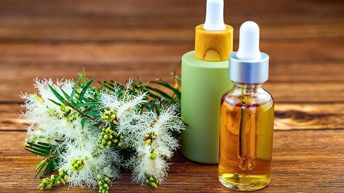 Hướng dẫn cách pha loãng tinh dầu tràm trà